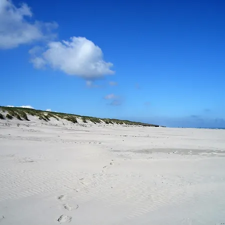 Haus Delft Jaap Jacoba Apartmán *